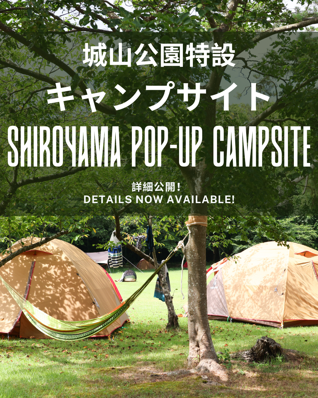  城山公園特設キャンプサイト詳細公開